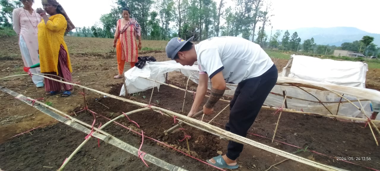 Offseason Vegetable Producer Photo 2